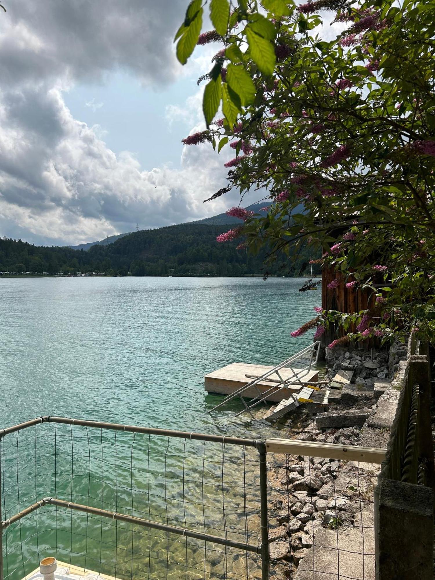 Seerose Walchensee Bagian luar foto