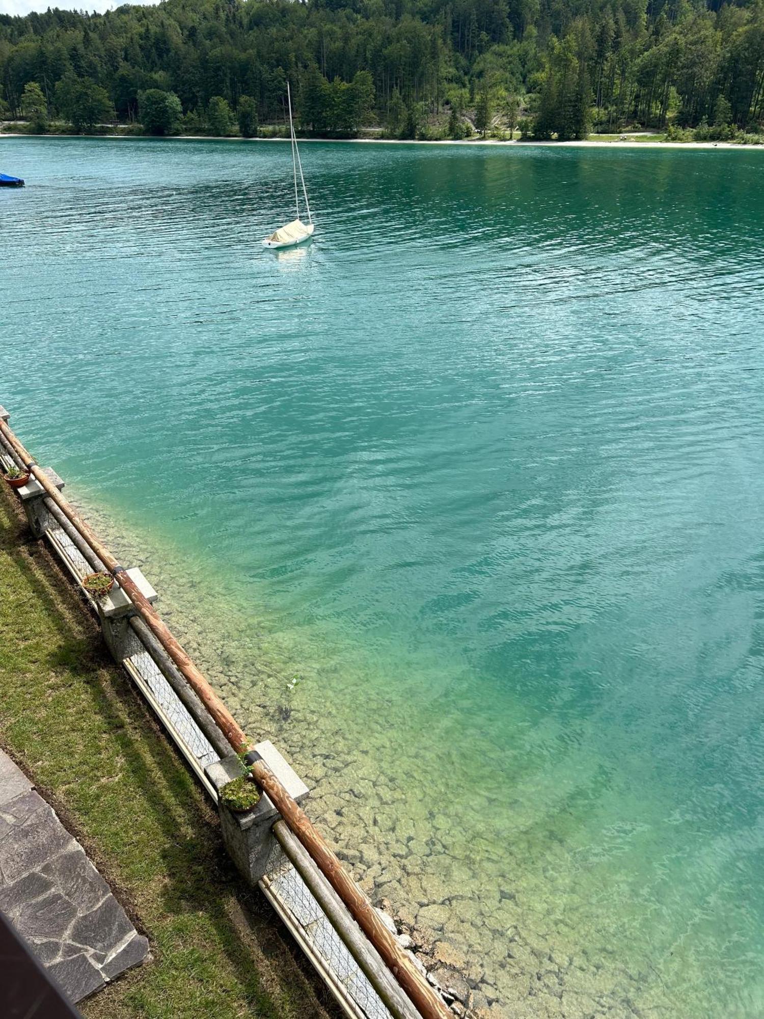Seerose Walchensee Bagian luar foto
